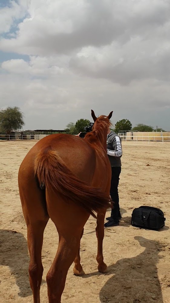 Marwan farm,hamraniyah photo 3
