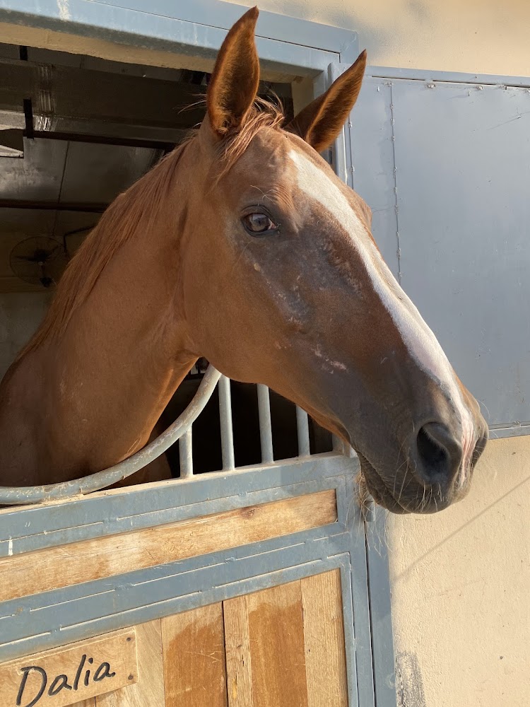 Marwan farm,hamraniyah photo 4