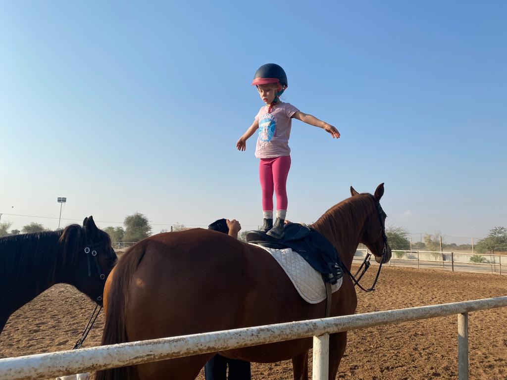 Marwan Stable photo 2