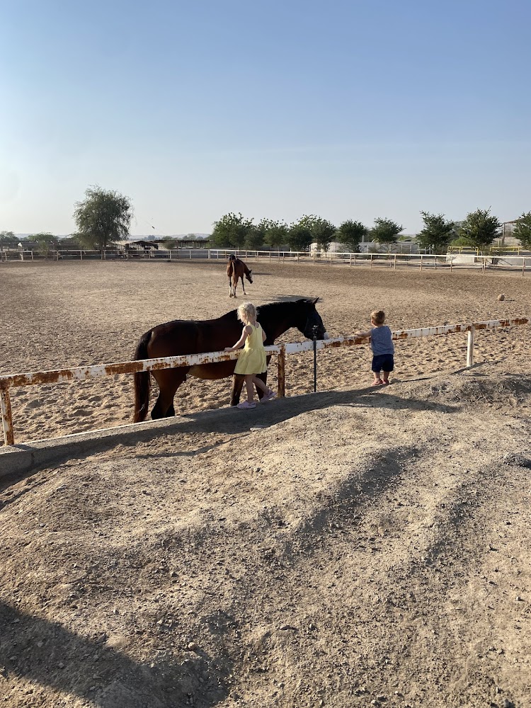 Marwan Stable photo 3