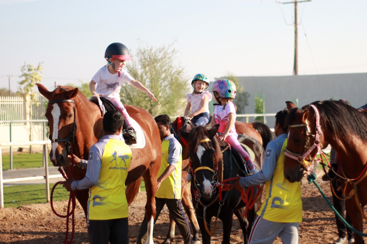 Marwan Stable photo 4