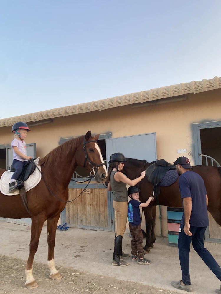 Marwan Stable photo 5