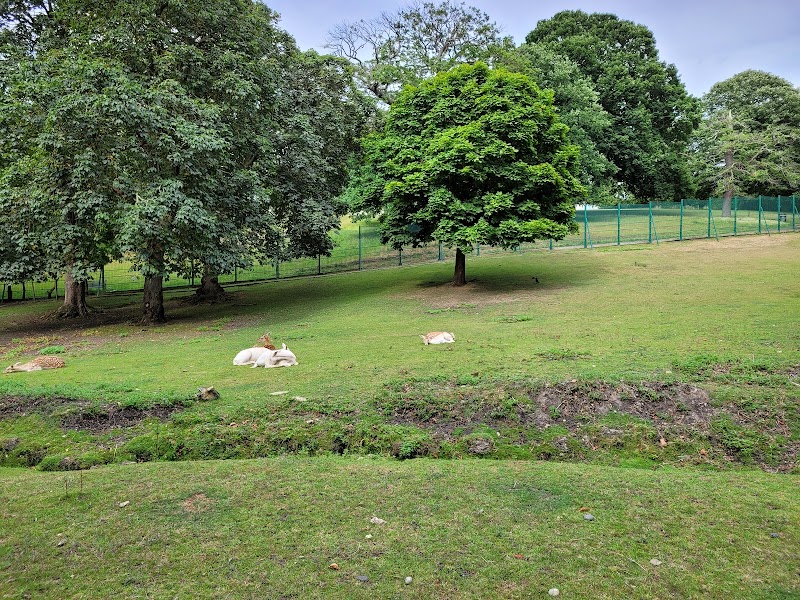 Maryon Wilson Animal Park photo 2