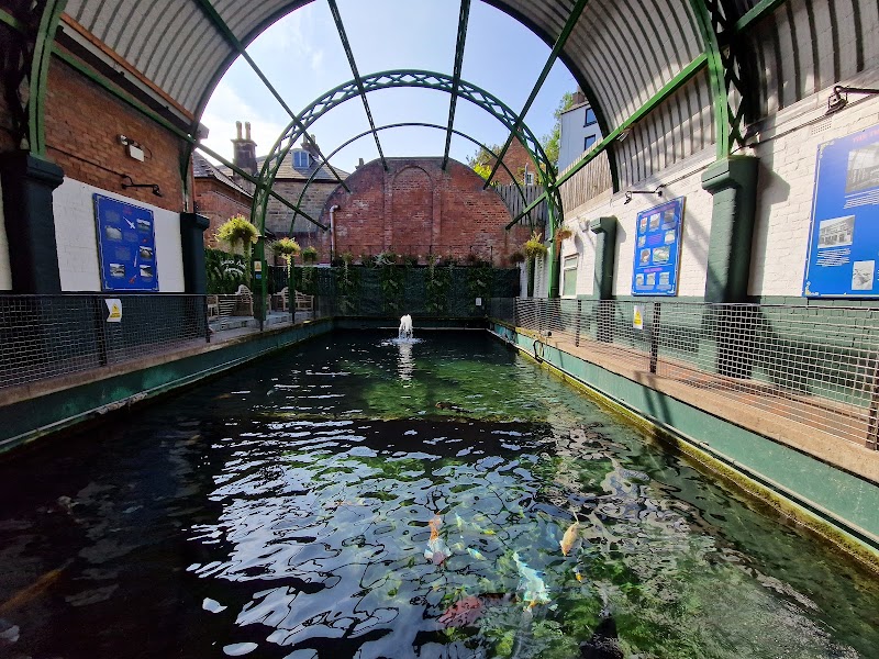 Matlock Bath Aquarium and arcade photo 2