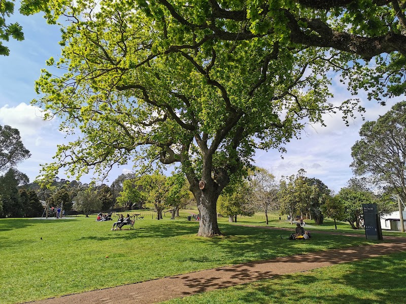 Maungakiekie One Tree Hill Domain Playground photo 2