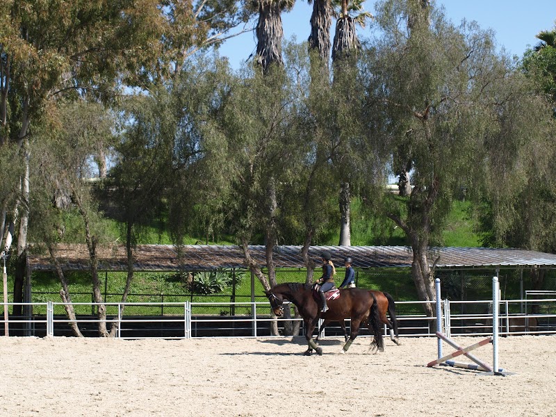 Maverick Farms