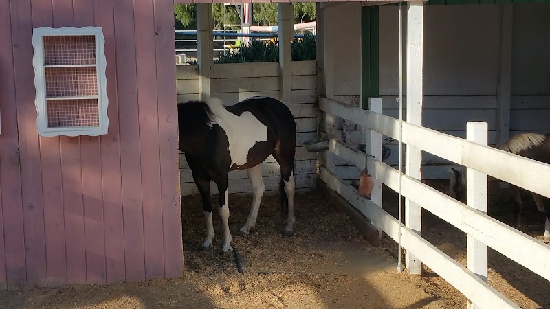 Maverick Farms photo 3