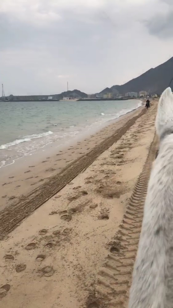 Maydan Khorfakan Equestrian Club photo 3