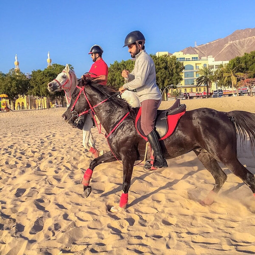 Maydan Khorfakan Equestrian Club photo 4