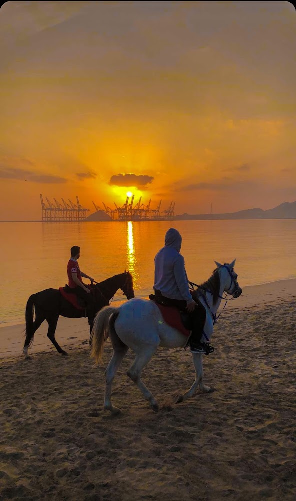 Maydan Khorfakan Equestrian Club photo 5