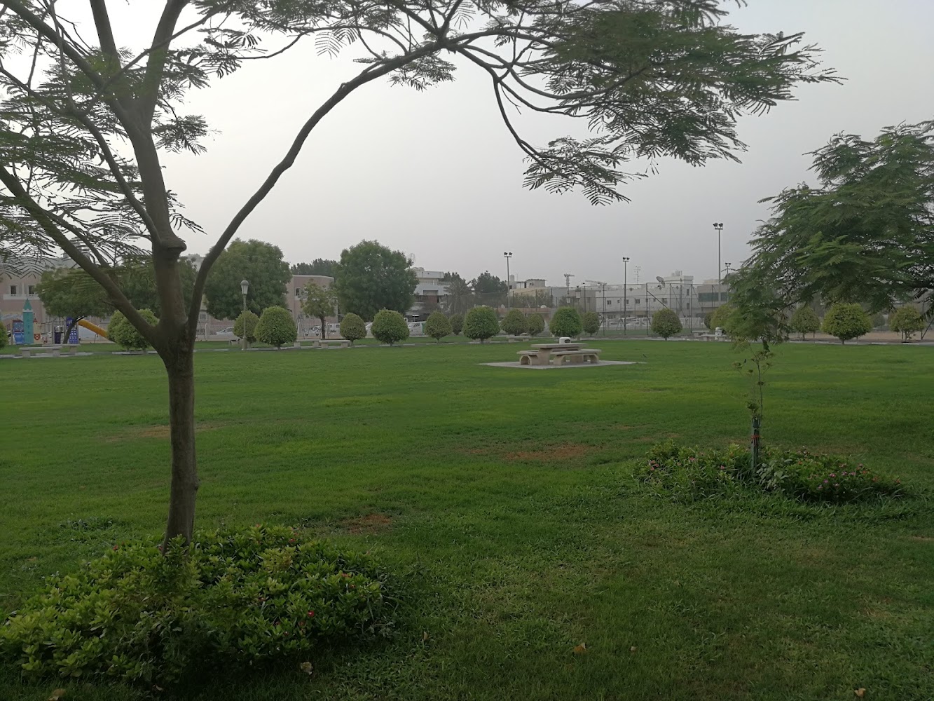 Maysaloon Park photo 3