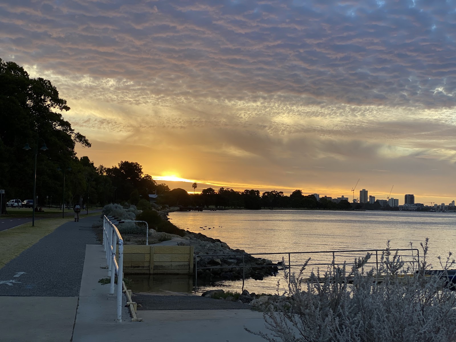 McCallum Park photo 3