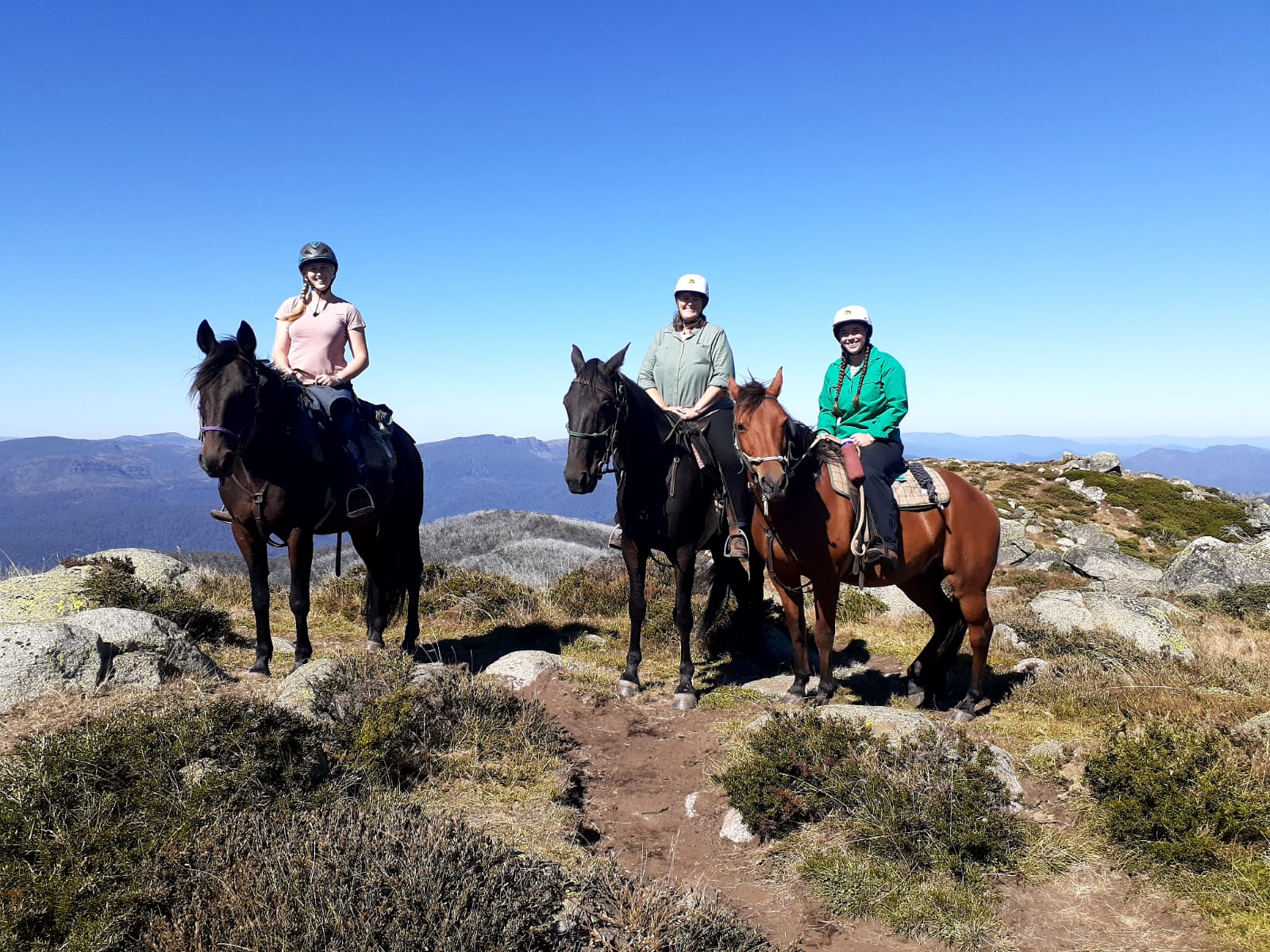 McCormack's Mountain Valley Trail Rides photo 3