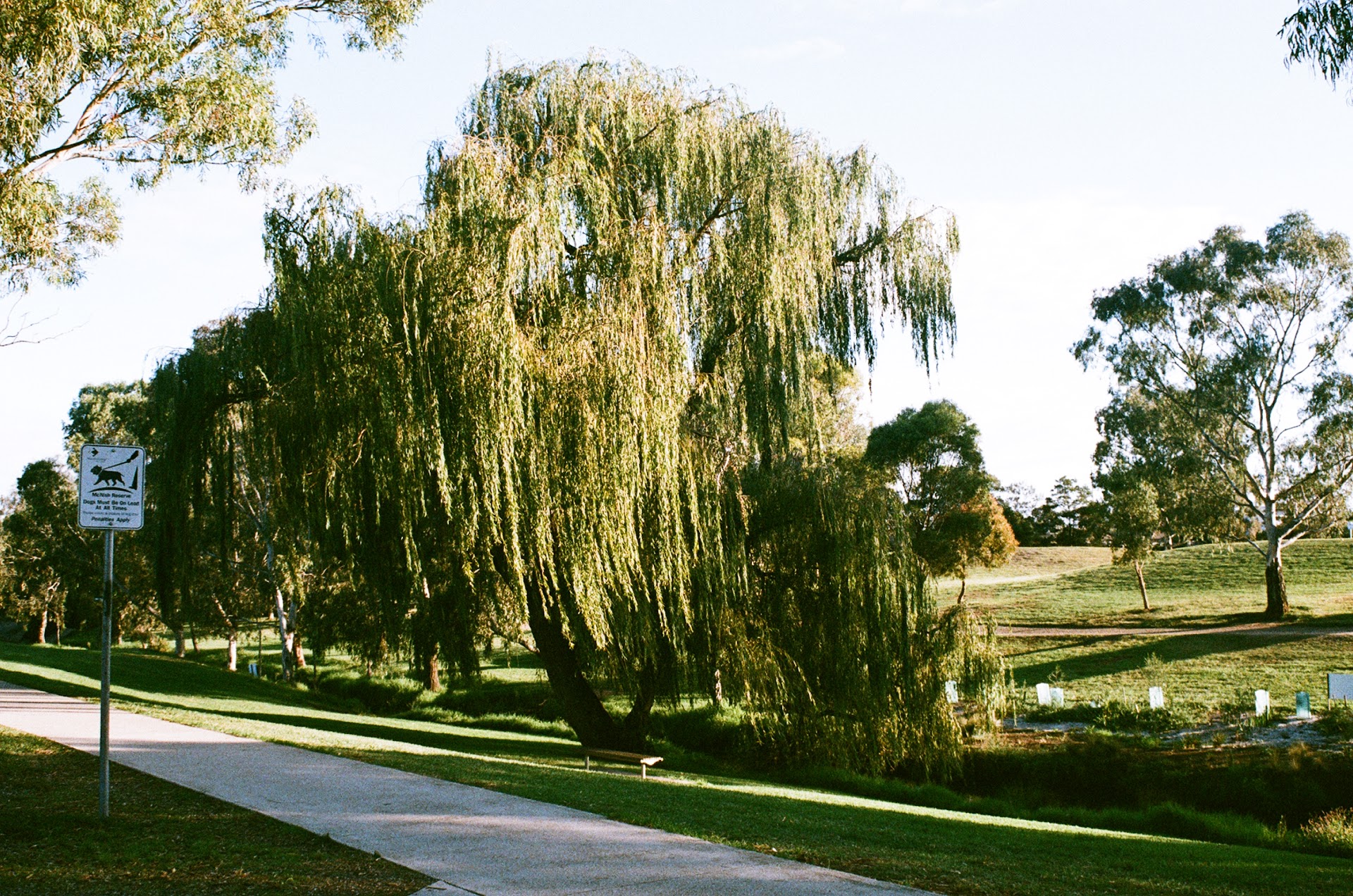 McNish 'Dinosaur Park' Reserve photo 2