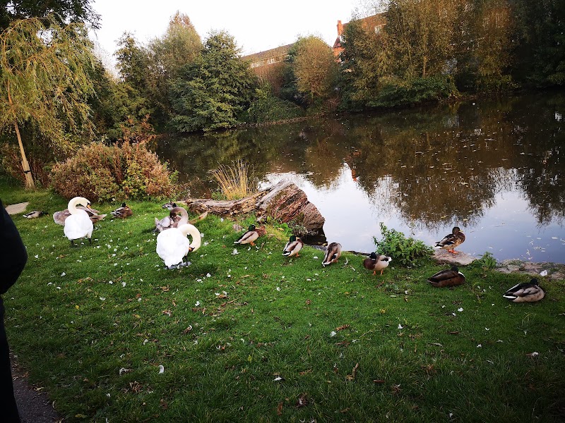 Meadowbank Playpark photo 3