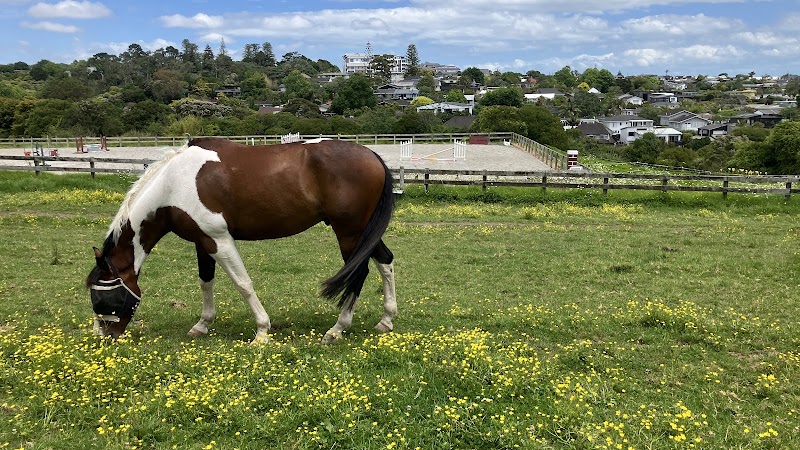 Meadowbank Pony Club photo 2
