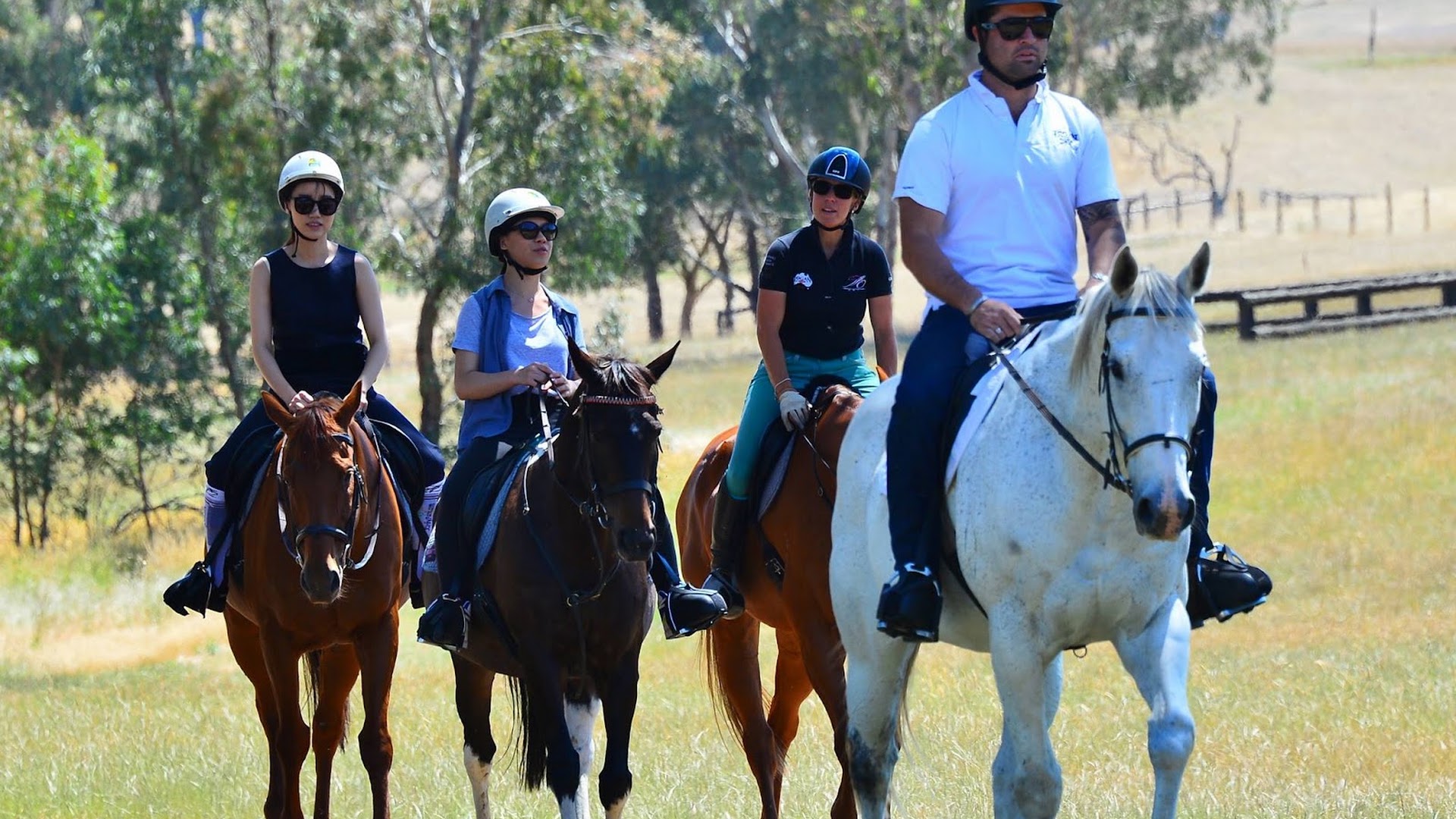 Megan Jones Equestrian Training