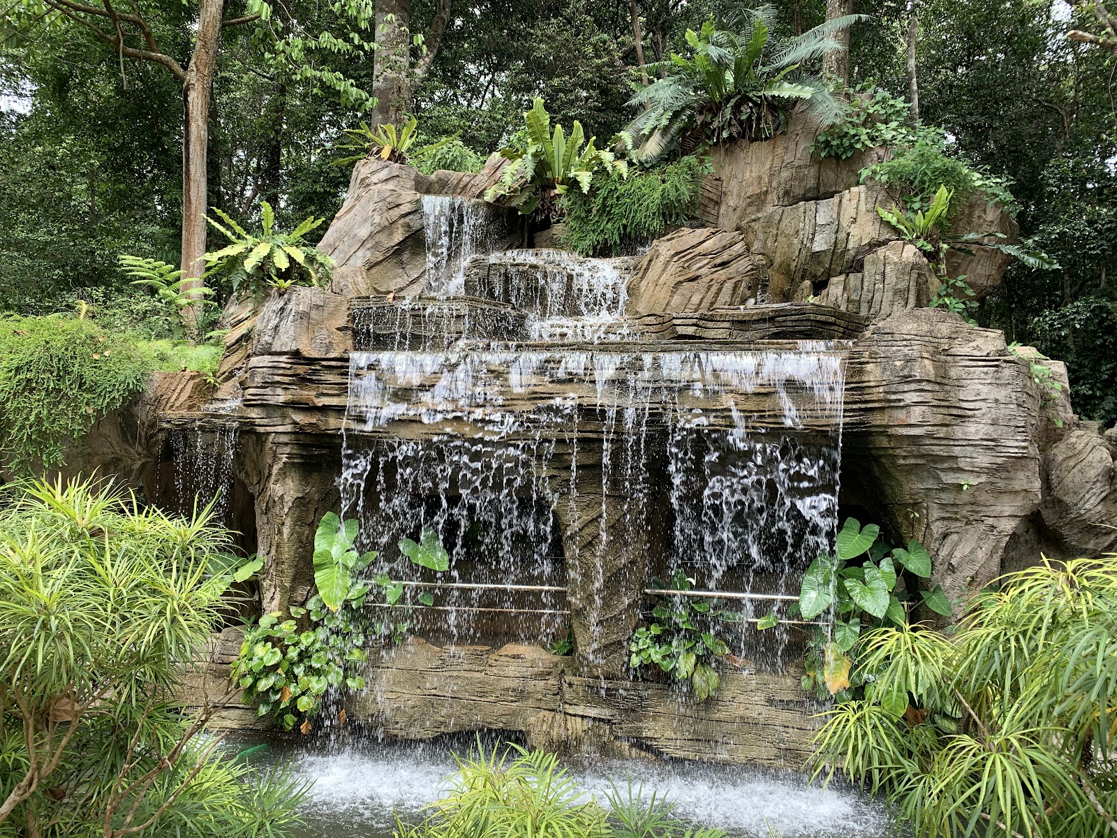 Melaka Botanical Garden photo 2