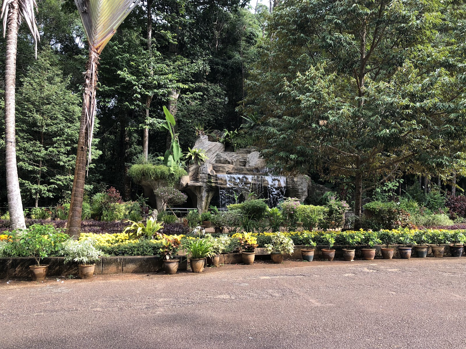 Melaka Botanical Garden photo 3