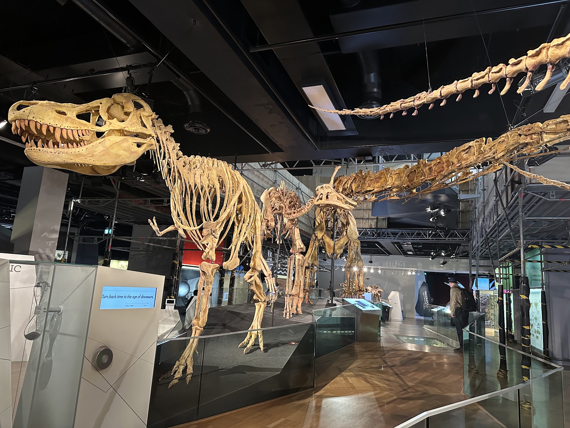 Melbourne Museum photo 2