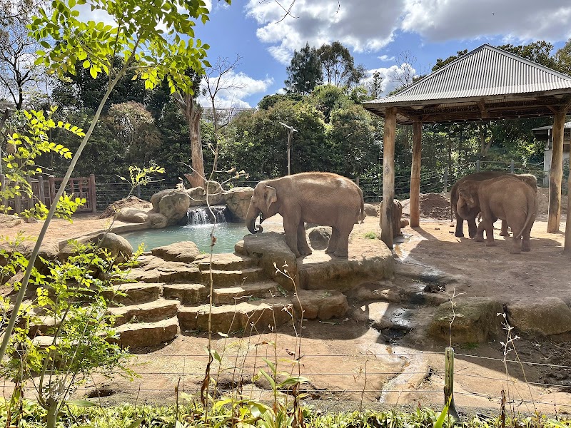 Melbourne Zoo photo 3