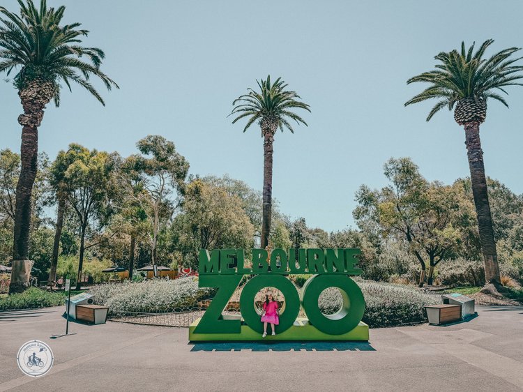Melbourne Zoo photo 2