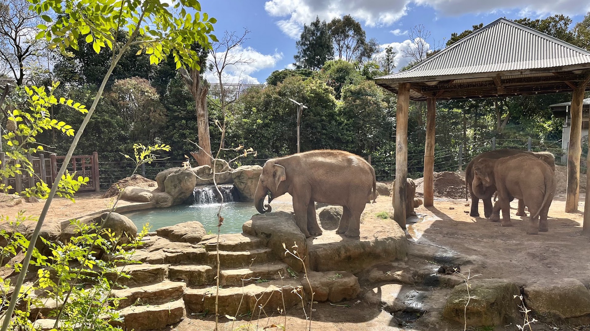 Melbourne Zoo photo 3