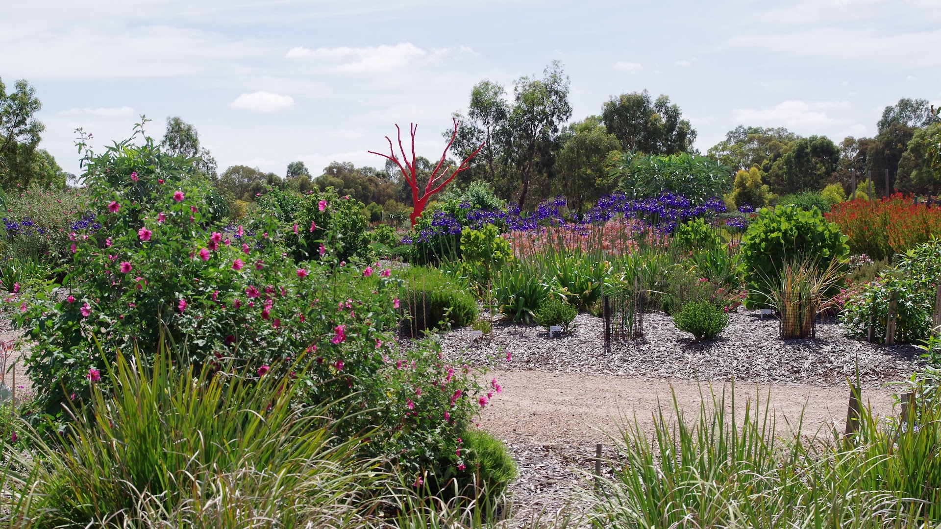 Melton Botanic Garden