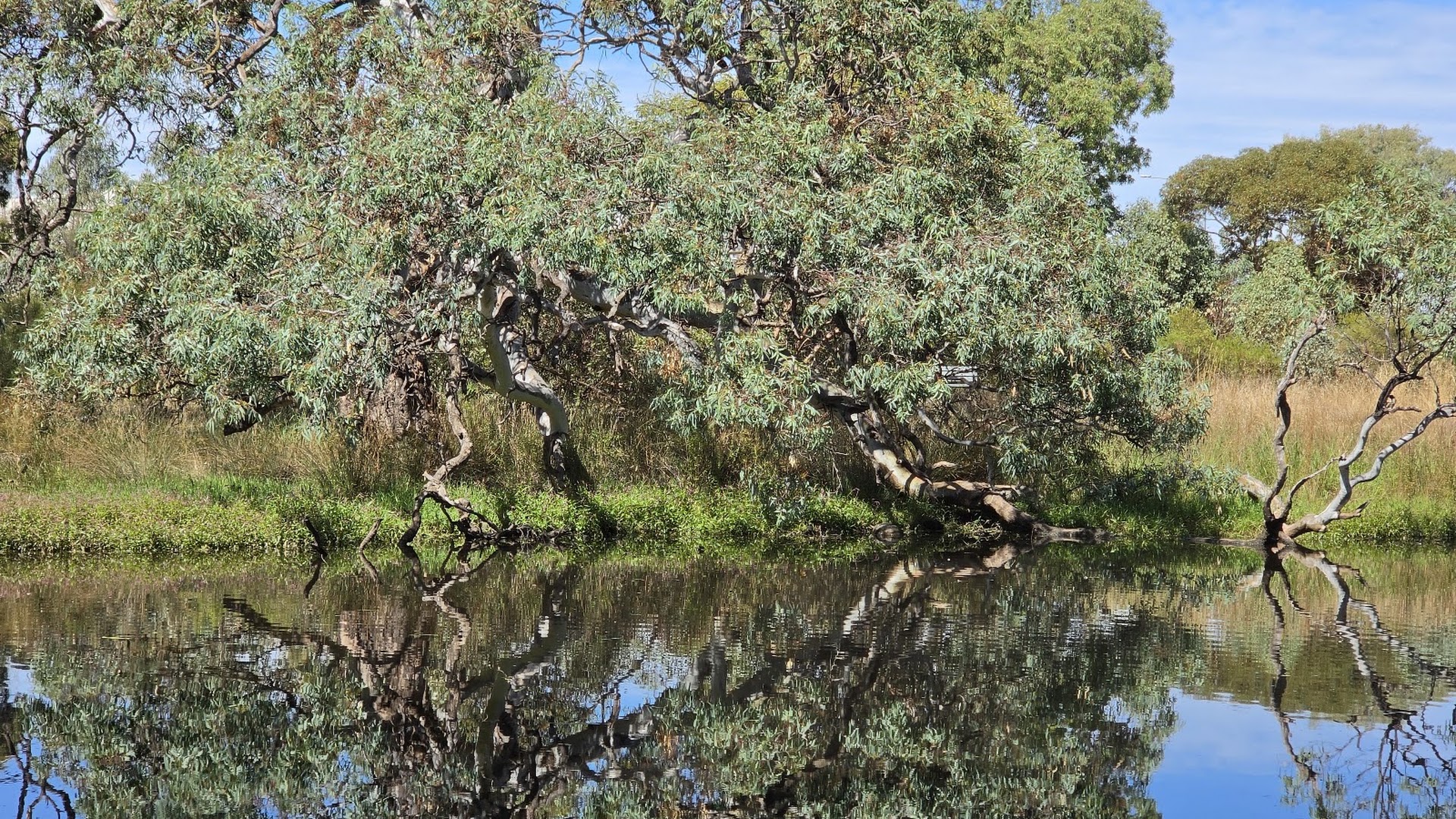 Melton Botanic Garden photo 3