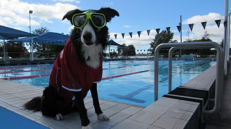 Memorial Pool Tauranga