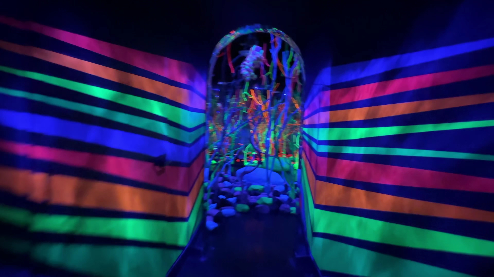 Meow Wolf Grapevine's The Real Unreal photo 2