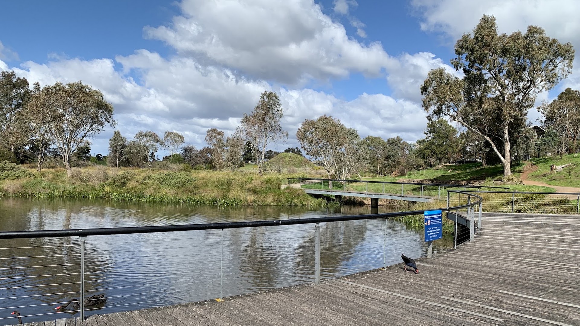Mernda Adventure Playground photo 2