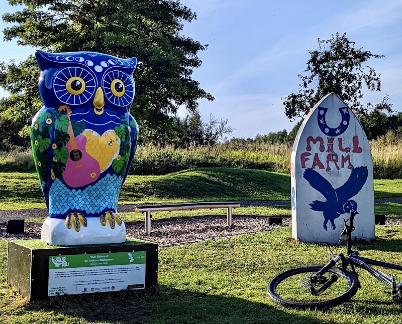 Mill Dam Adventure Children's Playground photo 3