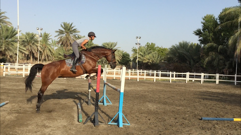 Millennium Equestrian & Racing Club