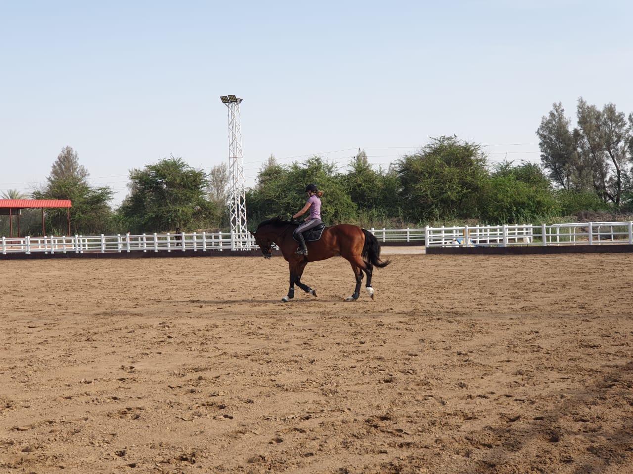 Millennium Equestrian & Racing Club photo 2