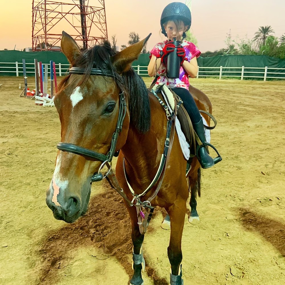 Millennium Equestrian & Racing Club photo 5