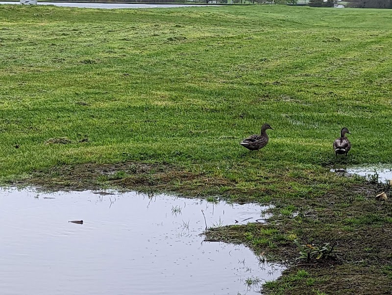 Millhouse Reserve photo 2