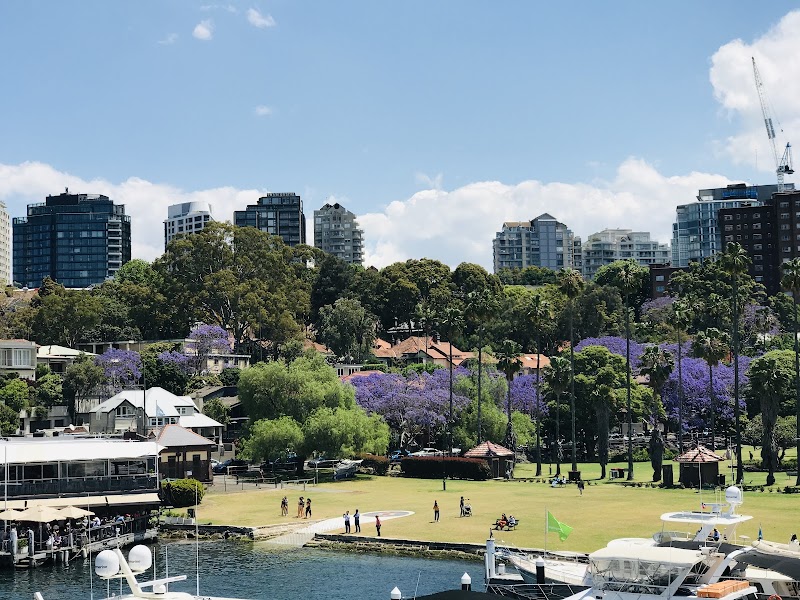 Milson Park photo 3