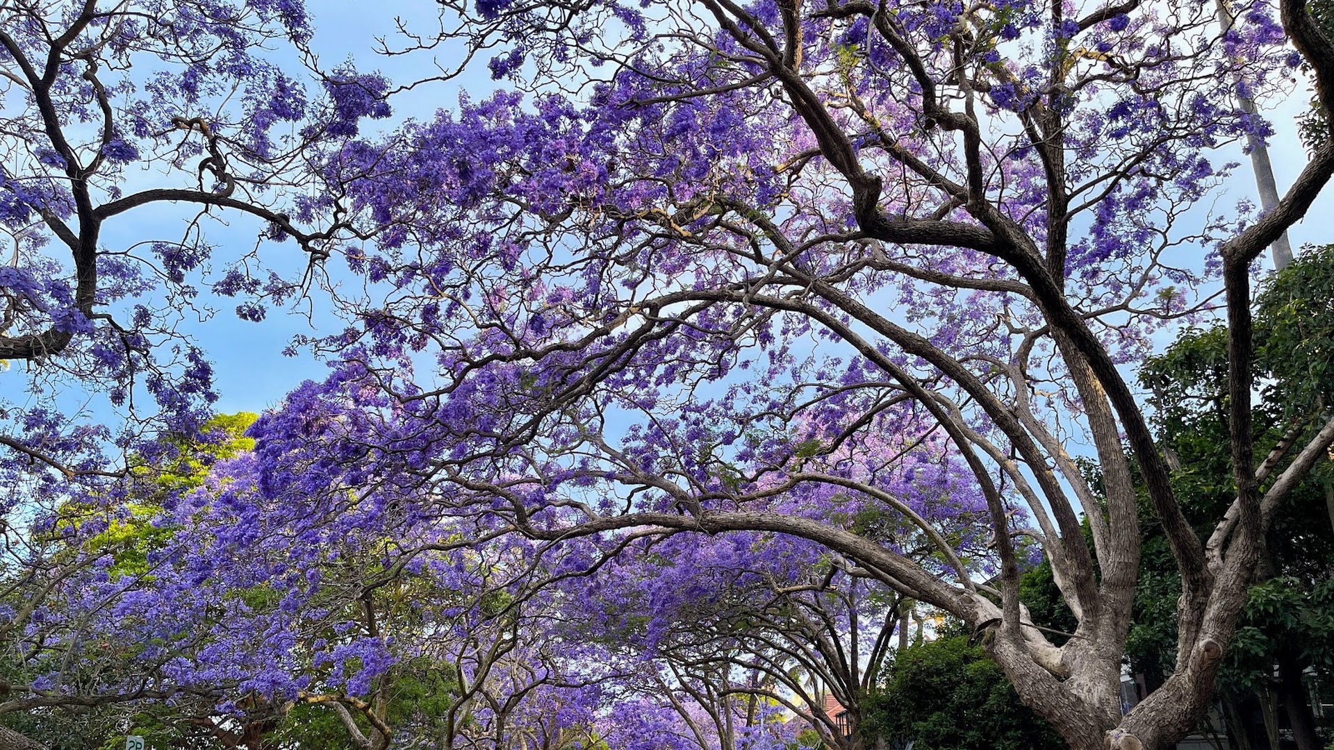 Milson Park