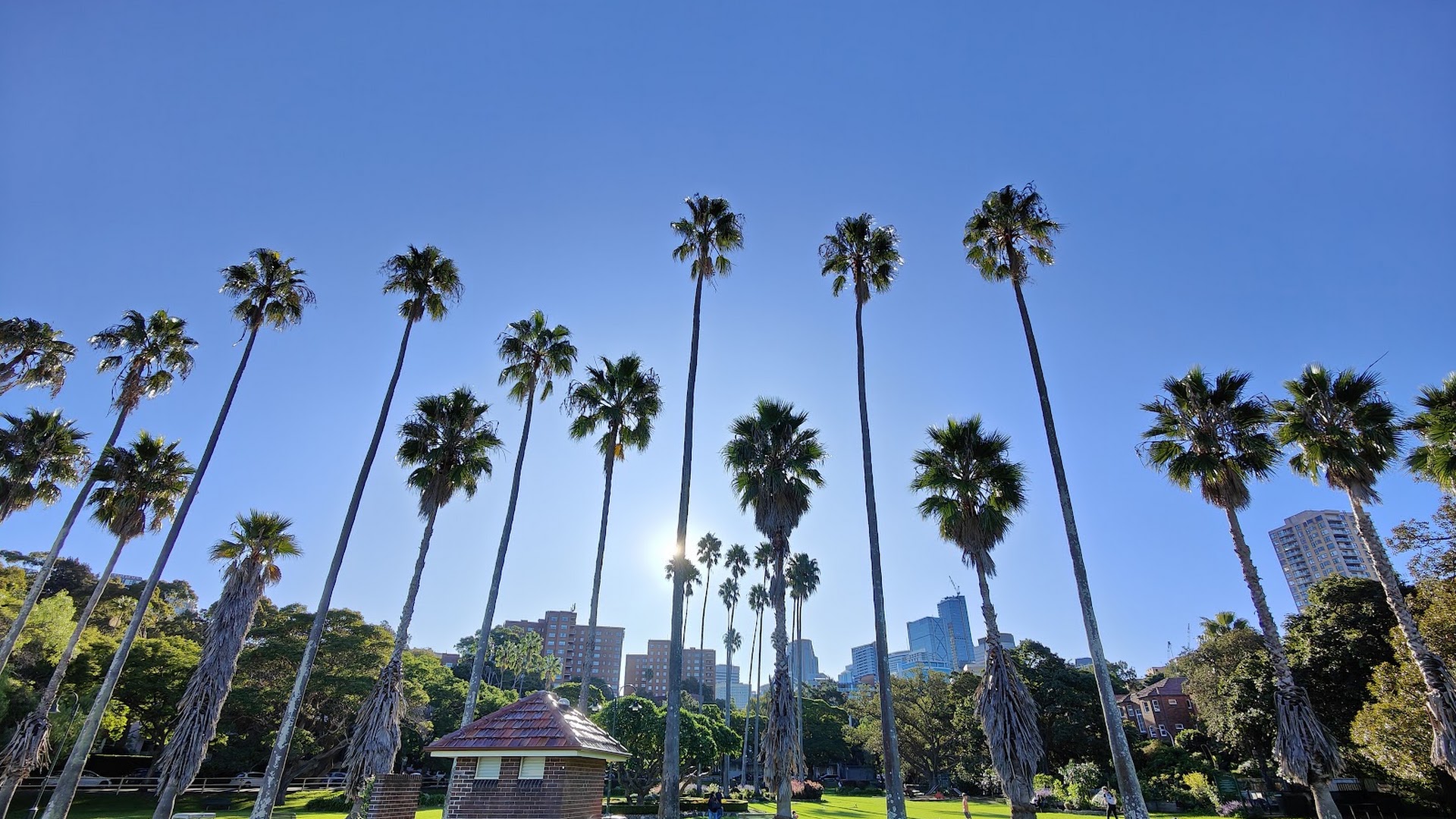 Milson Park photo 3