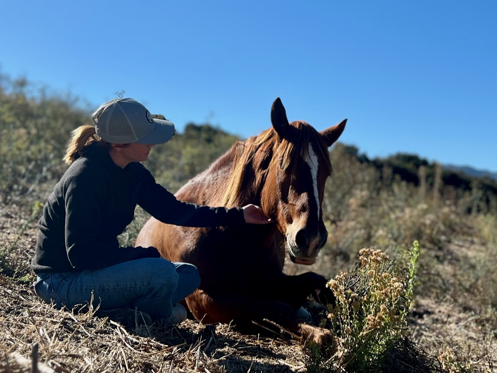 Mindful Mustang at Rugged Ranch