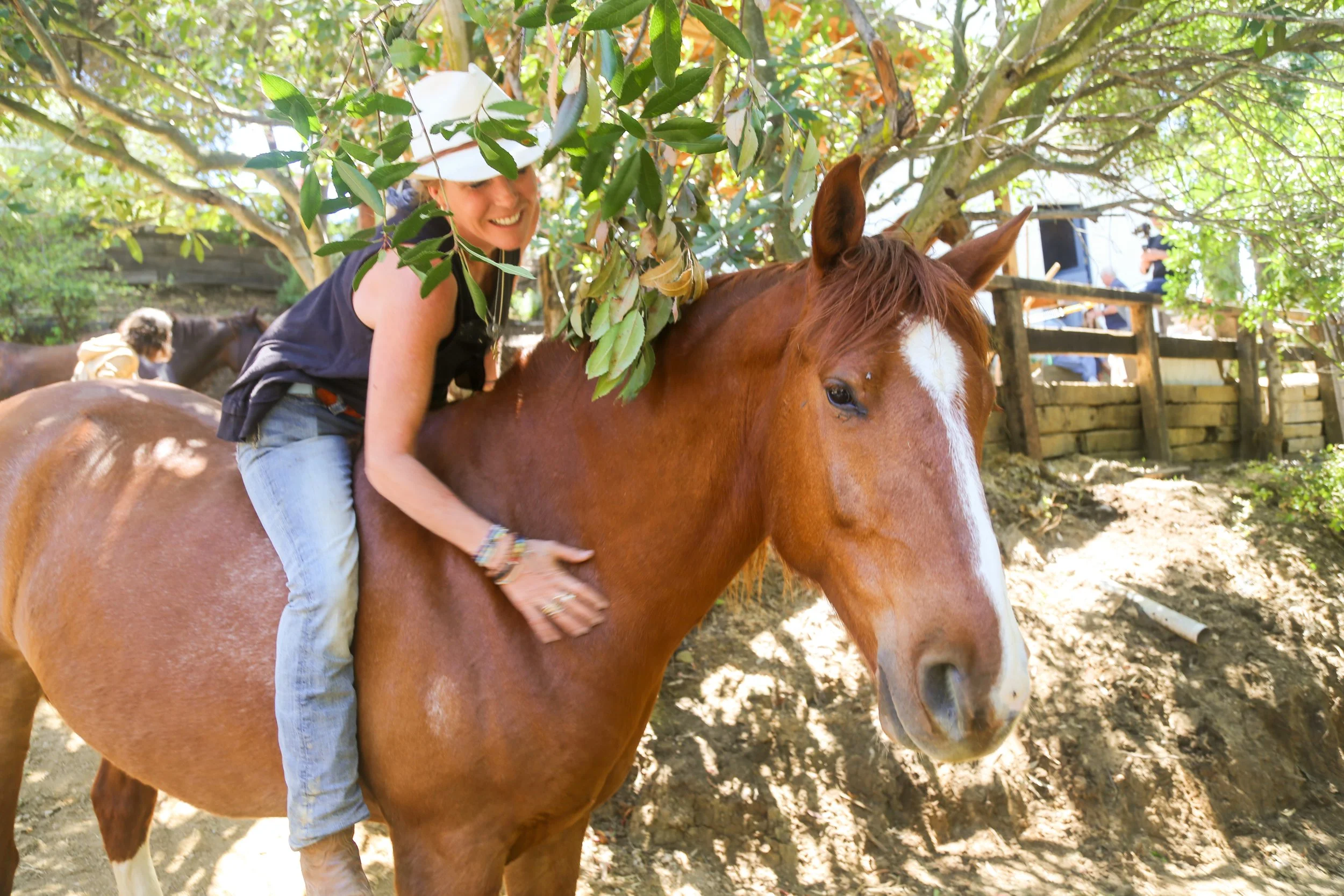 Mindful Mustang at Rugged Ranch photo 2
