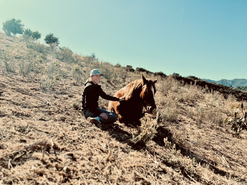 Mindful Mustang at Rugged Ranch photo 3