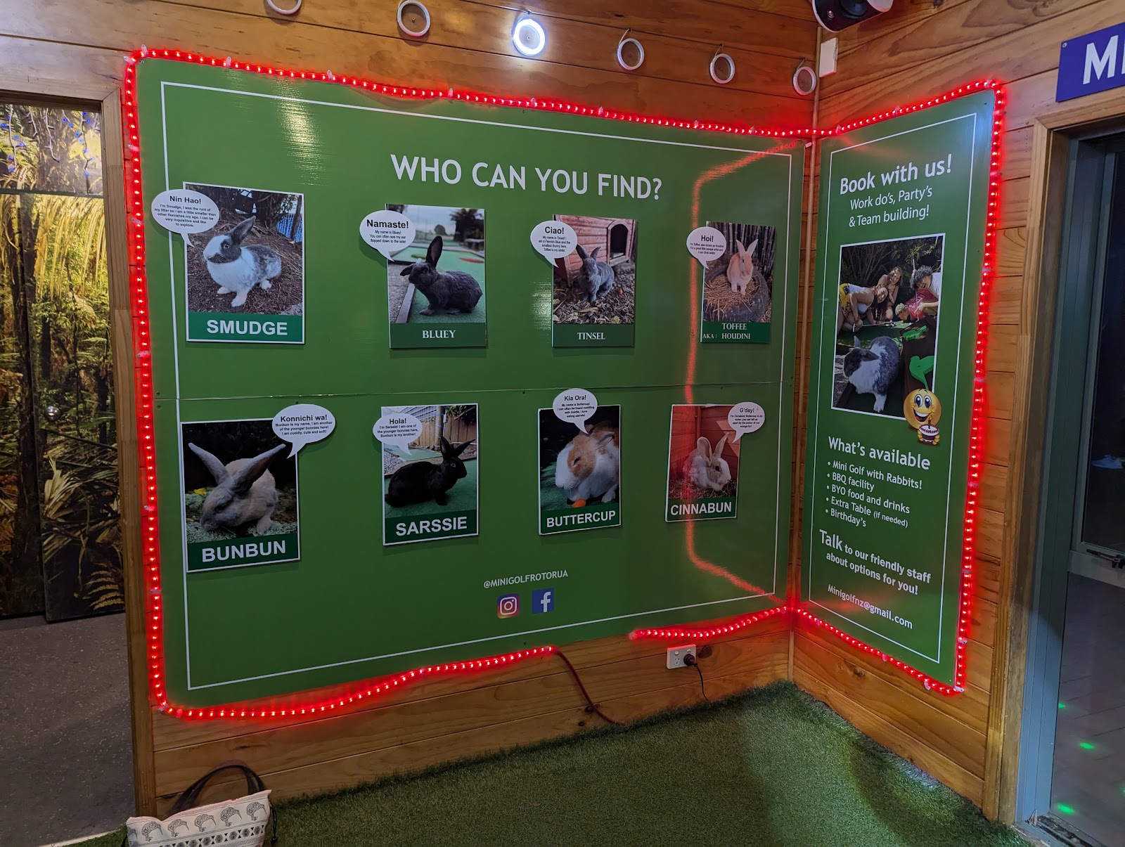 Mini Golf Rotorua with Rabbits photo 3