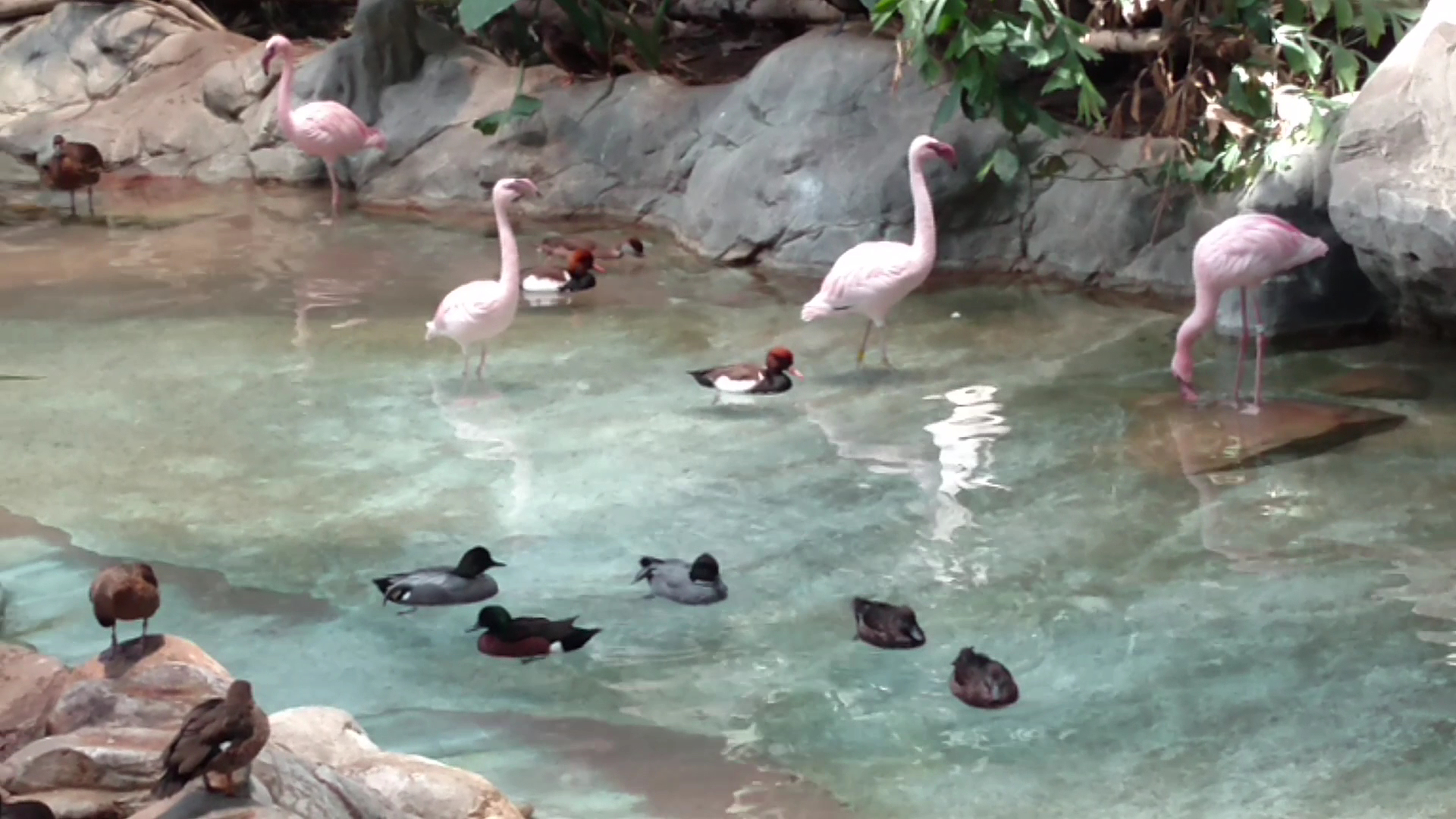 Minnesota Zoo photo 2
