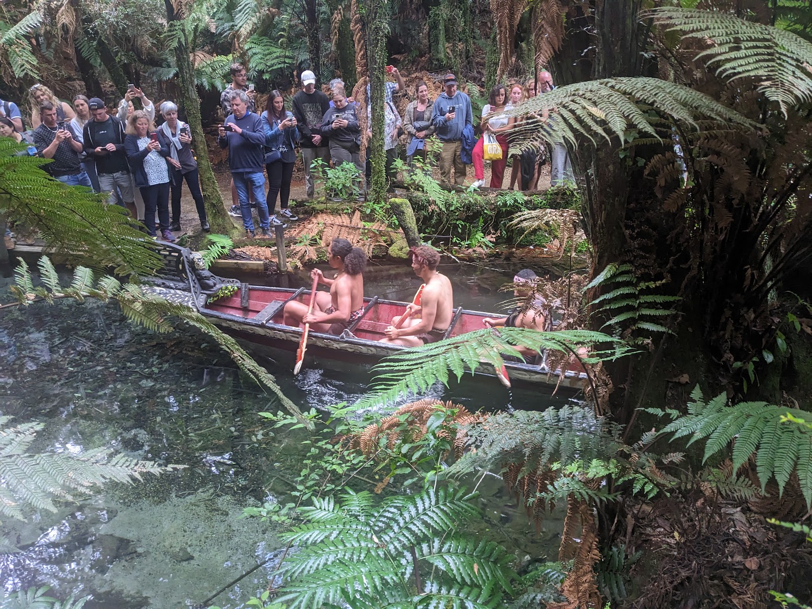 Mitai Maori Village photo 2