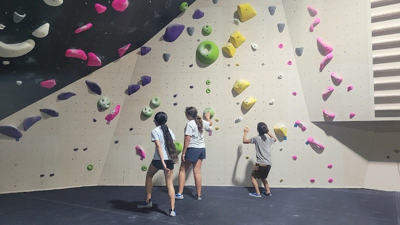 MoCo Bouldering and Fitness