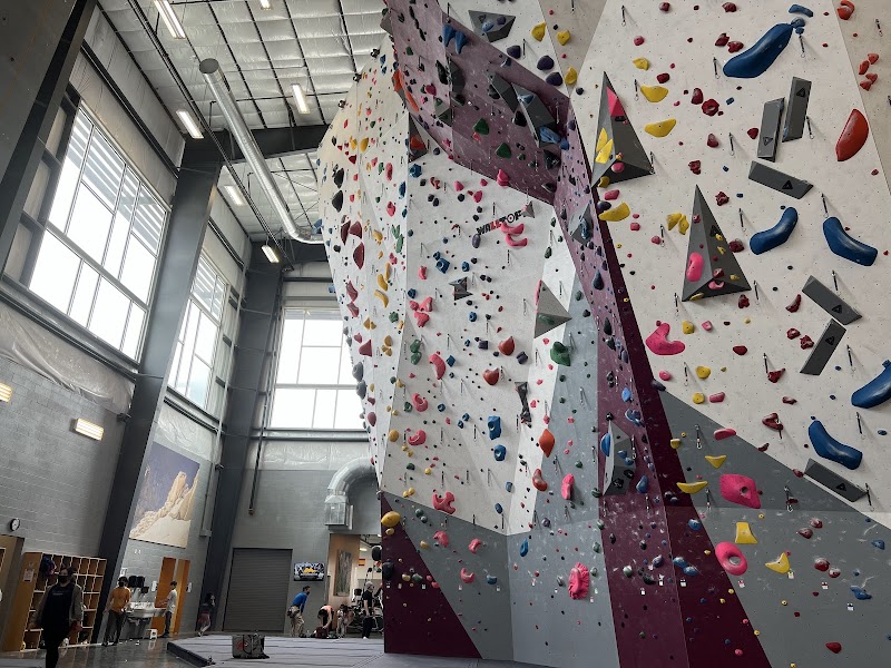 Momentum Indoor Climbing Katy photo 2