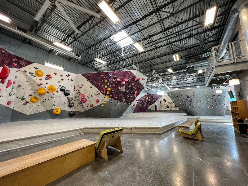 Momentum Indoor Climbing Katy photo 3