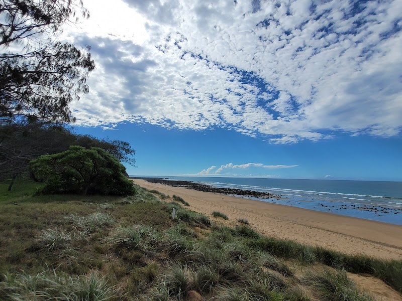 Mon Repos Conservation Park photo 2
